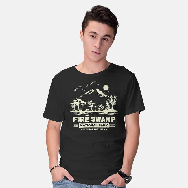 Fire Swamp National Park-Mens-Basic-Tee-retrodivision