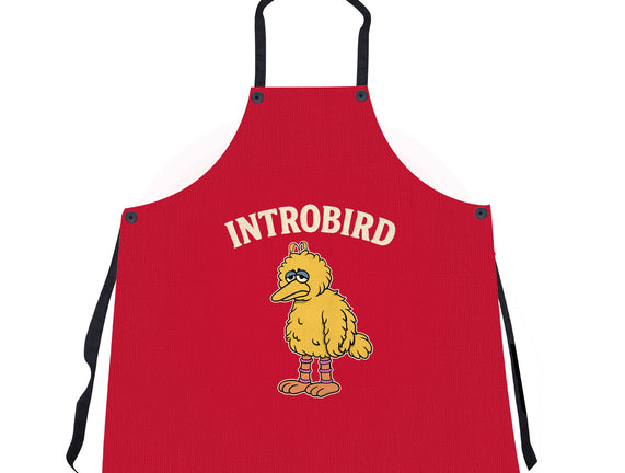 Introbird