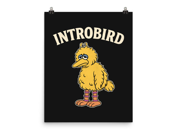 Introbird