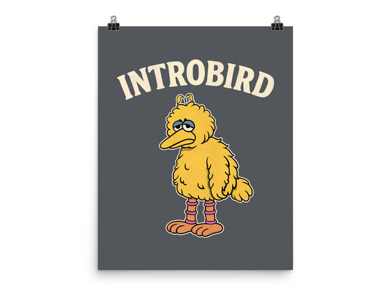 Introbird