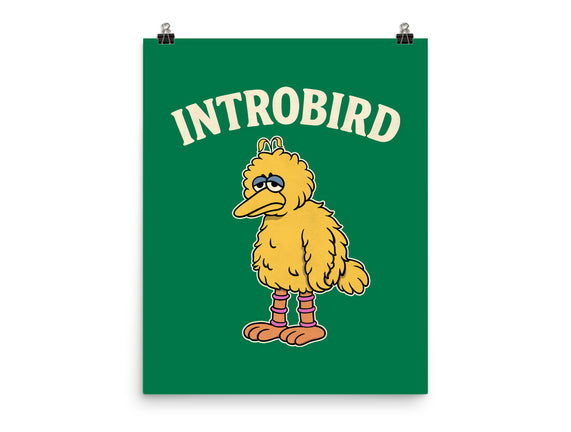 Introbird