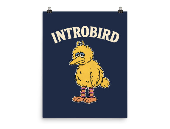 Introbird