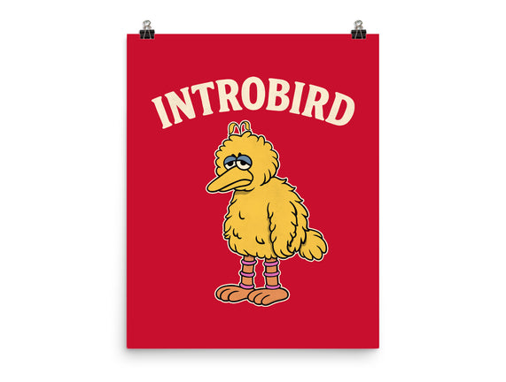Introbird