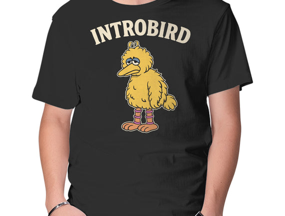 Introbird