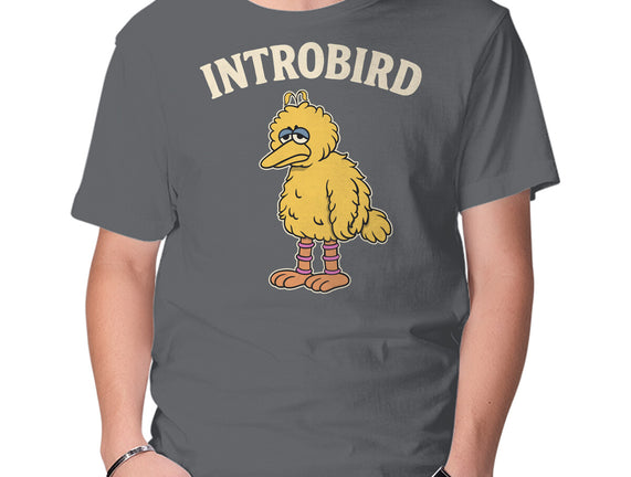 Introbird