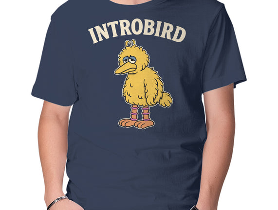 Introbird