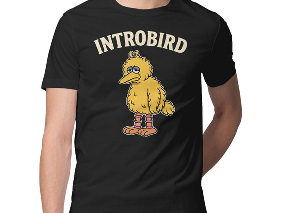 Introbird
