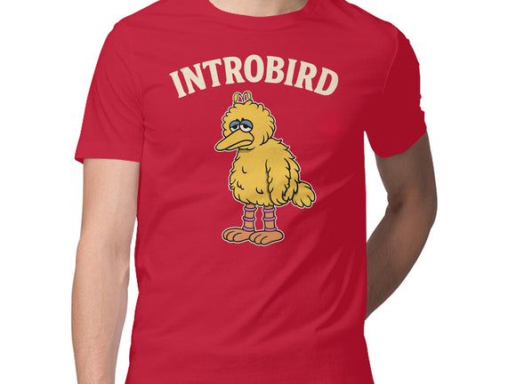 Introbird