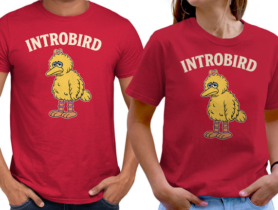 Introbird