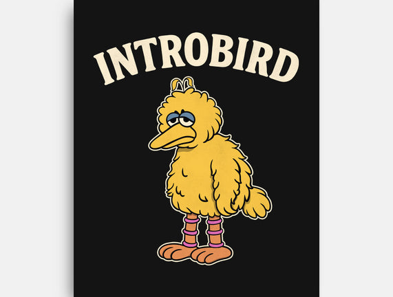 Introbird