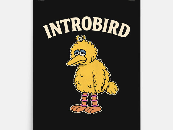Introbird