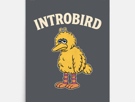Introbird