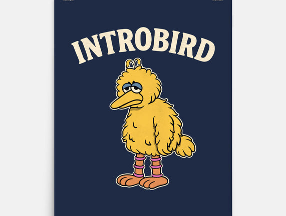 Introbird