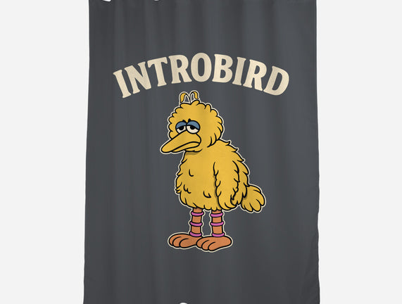 Introbird