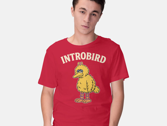 Introbird