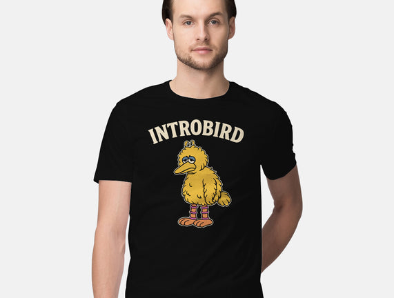 Introbird