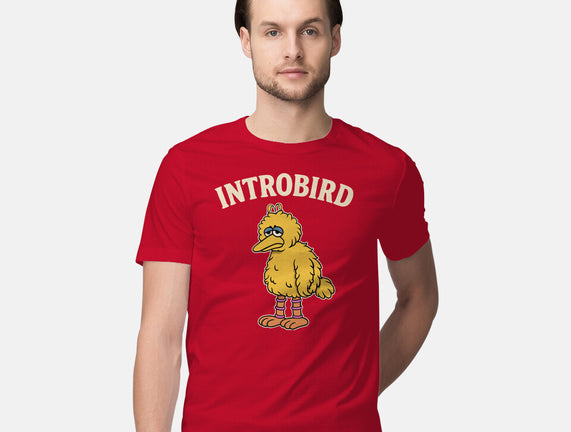 Introbird