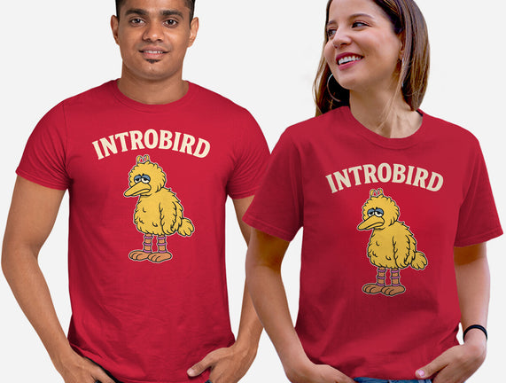 Introbird