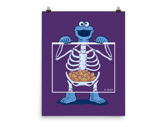 Cookie Anatomy X-ray