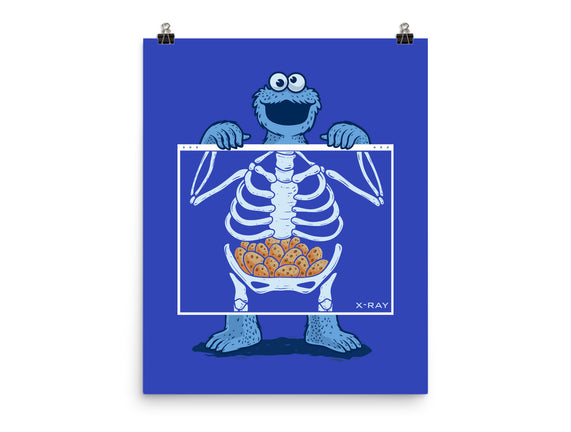 Cookie Anatomy X-ray