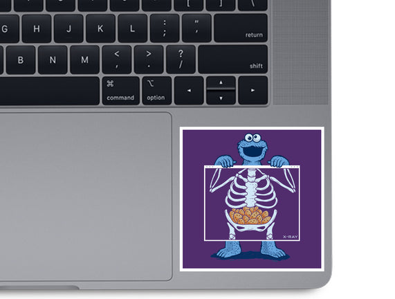 Cookie Anatomy X-ray