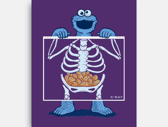 Cookie Anatomy X-ray