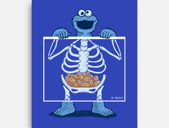 Cookie Anatomy X-ray