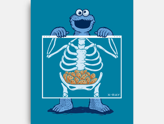 Cookie Anatomy X-ray