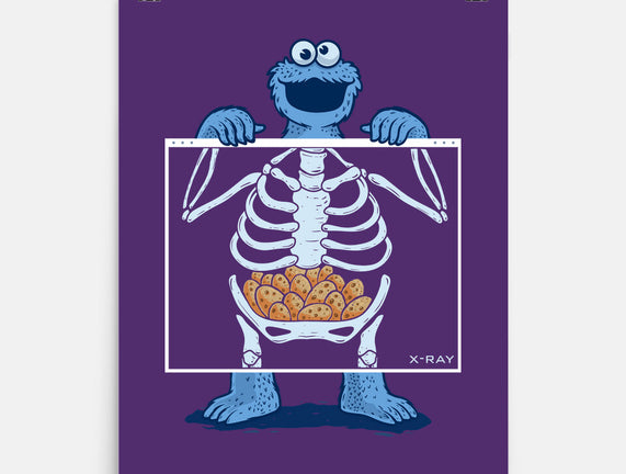 Cookie Anatomy X-ray