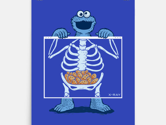 Cookie Anatomy X-ray