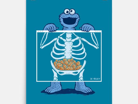 Cookie Anatomy X-ray