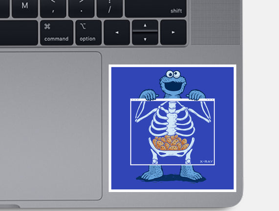 Cookie Anatomy X-ray