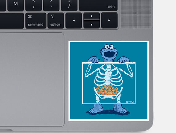 Cookie Anatomy X-ray