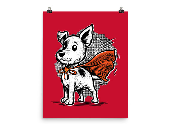 The Super Dog