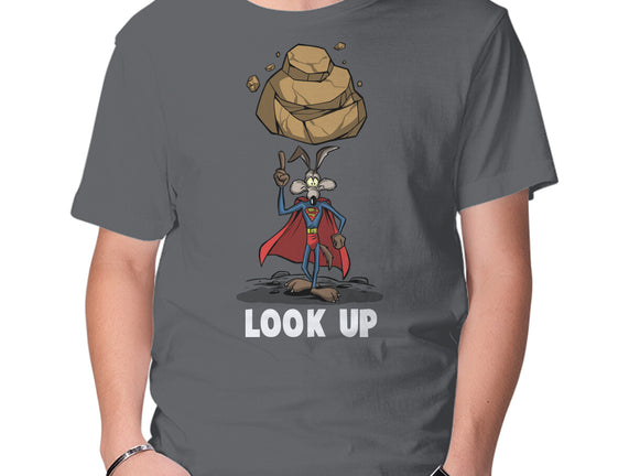 Quick Look Up