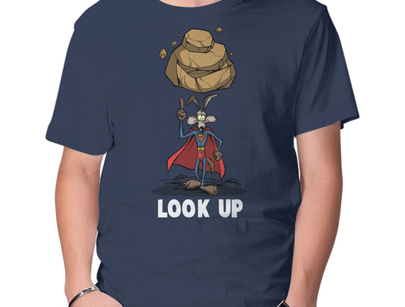 Quick Look Up