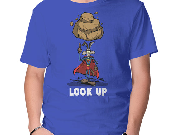Quick Look Up