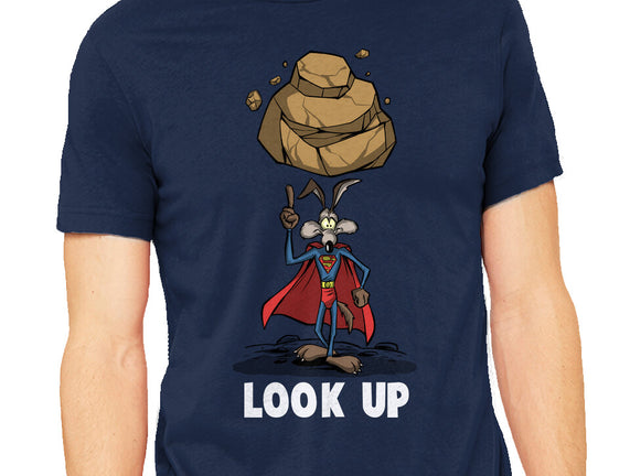 Quick Look Up