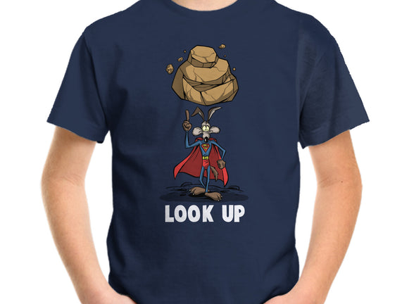 Quick Look Up