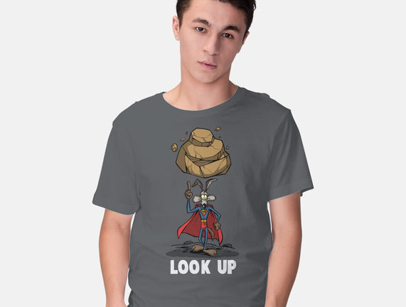 Quick Look Up