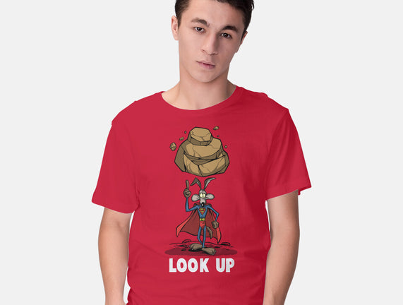 Quick Look Up