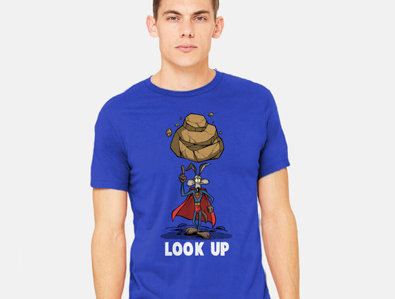 Quick Look Up