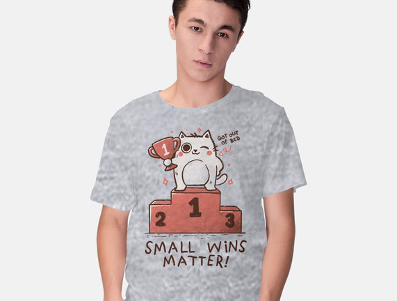 Small Wins Matter