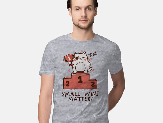 Small Wins Matter
