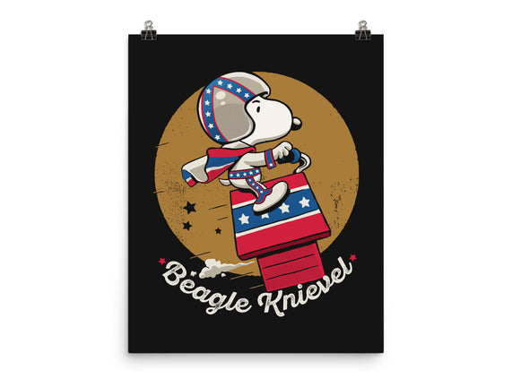Beagle Knievel
