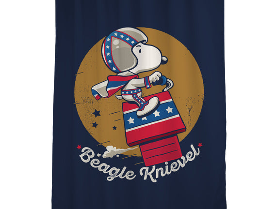Beagle Knievel