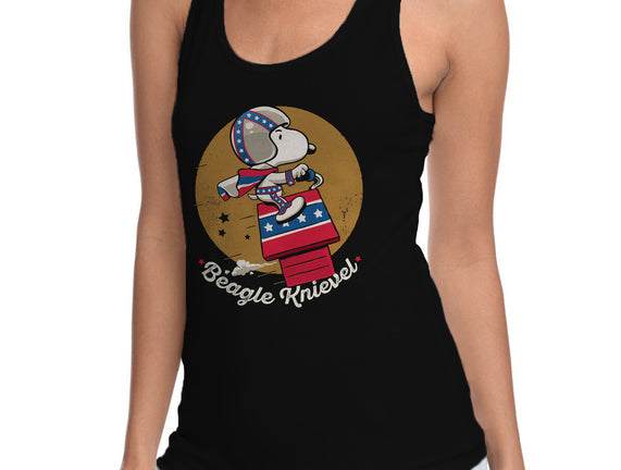 Beagle Knievel