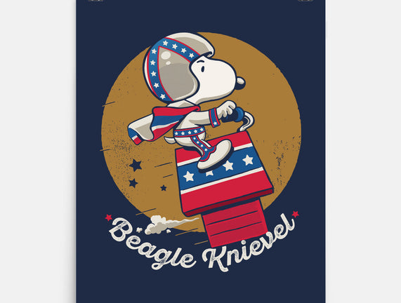 Beagle Knievel