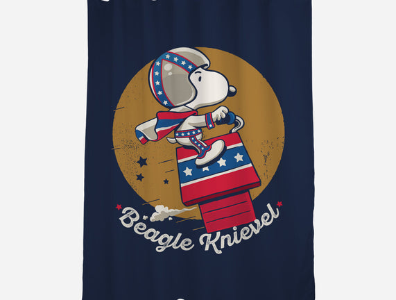 Beagle Knievel