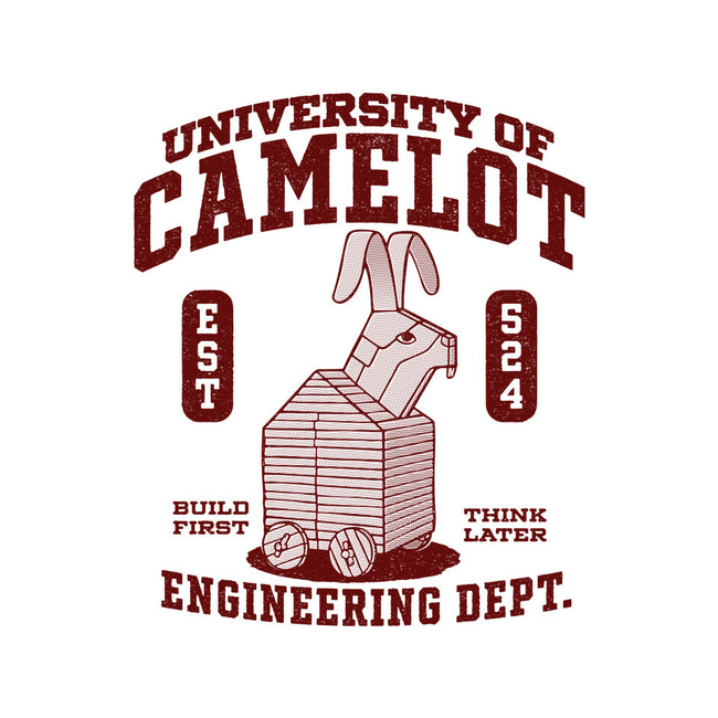 University Of Nonsense-Mens-Basic-Tee-Popnotic